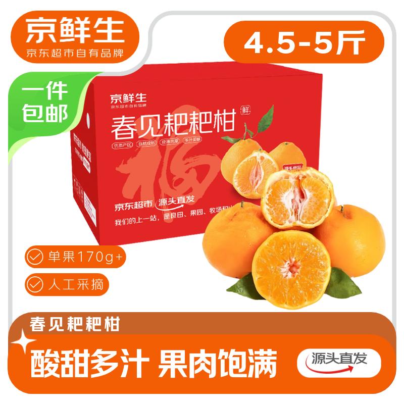 京鲜生 四川春见耙耙柑 净重4.5-5斤年货礼盒 单果170g+ 19.9元
