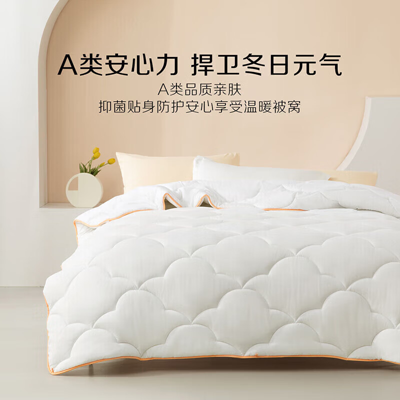 BLISS 百丽丝 雪莉亚七孔抗菌春秋被 150cm×210cm 44.34元（需用券）