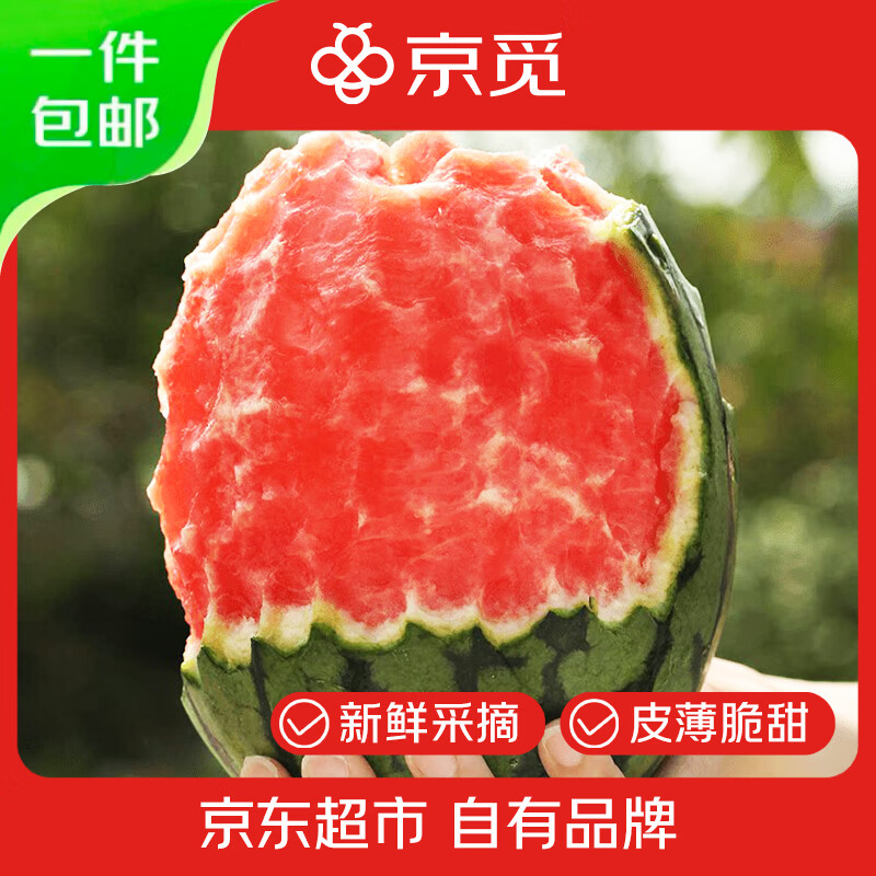 京觅 小糖丸西瓜 1个 手撕小西瓜新鲜无籽 水果源头直发 16.8元（需用券）