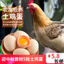 三七都 农家土鸡蛋散养绿色新鲜天然柴鸡蛋 5枚  券后3.8元