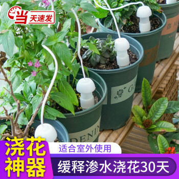 DEEPBANG 深邦 花园浇花神器自动浇水器 【1件装】0.8米（实发2个） ￥5.8