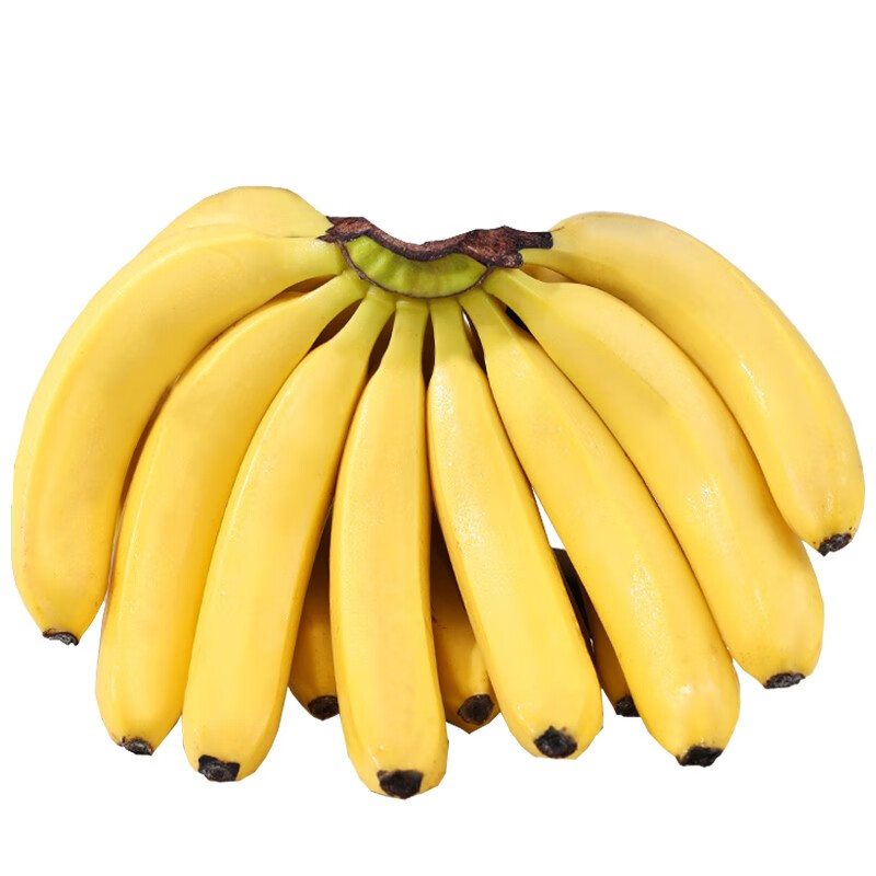 静益乐源 新鲜广西大香蕉 2500g 9.9元（需买2件，需用券）