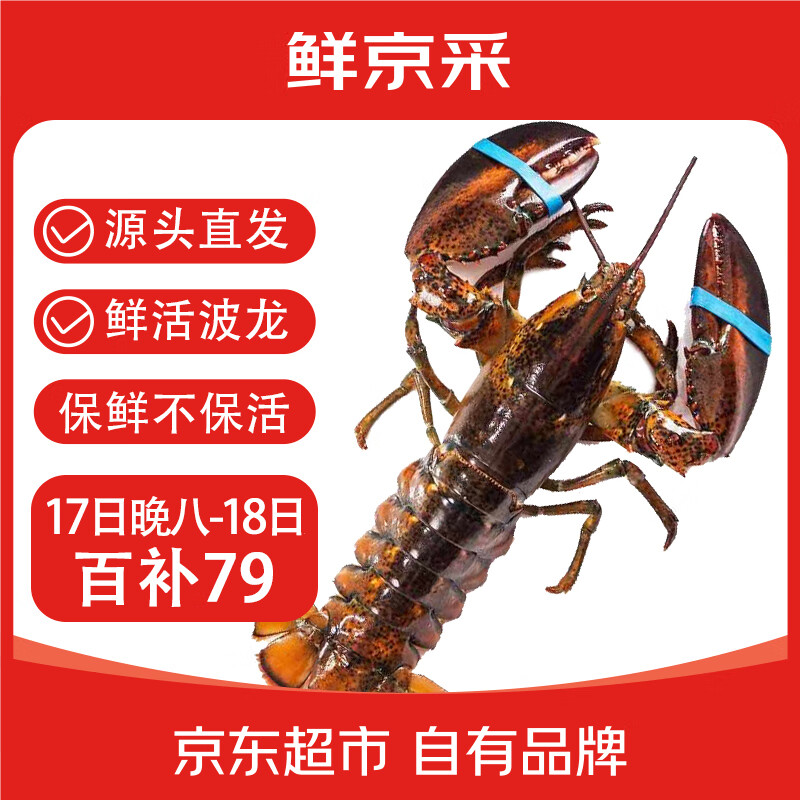 移动端、京东百亿补贴：鲜京采 波士顿龙虾波龙净重450-550g/只 保鲜不保活 6