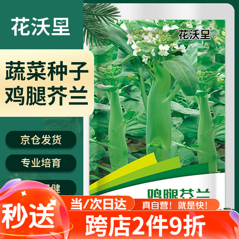 花沃里 鸡腿芥兰10g/包 蔬菜种子盆栽阳台种菜土四季菜籽阳台/庭院种植 10.03