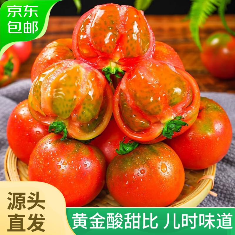 秋小鲜 山东铁皮草莓西红柿5斤 绿腚番茄沙瓤自然熟单果60-150g 源头直发 24.7