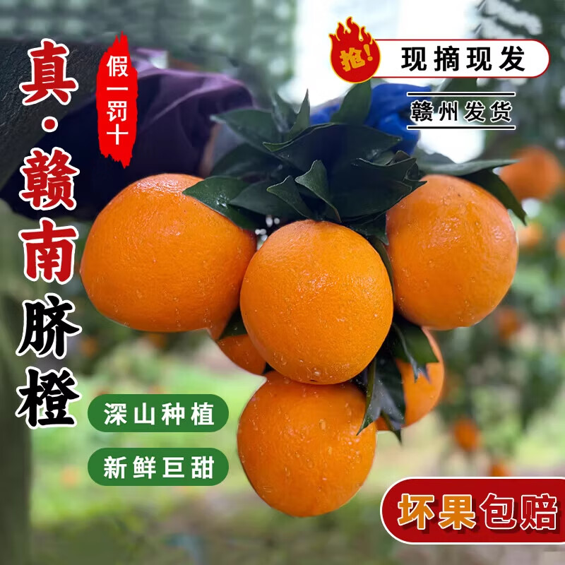 果当爱江西正宗赣南脐橙【源头直发】新鲜孕妇水果手剥甜橙香甜多汁现摘 