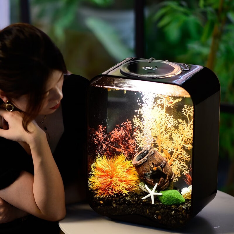 慧班水族箱轻奢现代家用桌面办公室客厅小型生态金鱼缸超白亚克力造景 套