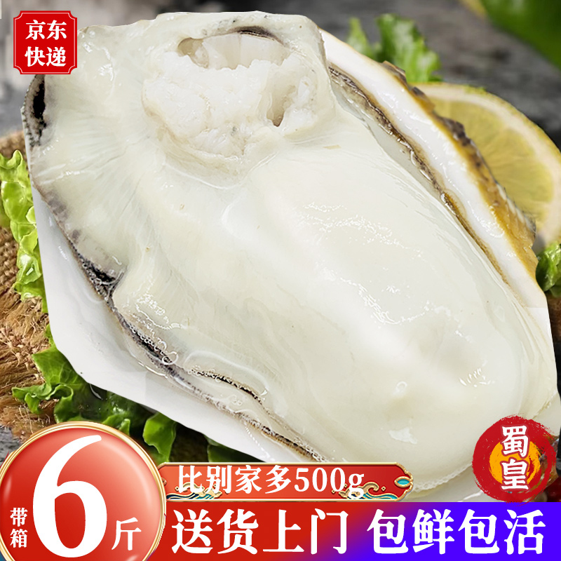 蜀皇 乳山生蚝鲜活6斤 特大生蚝肉即食牡蛎贝新鲜海蛎子10海鲜水产一箱 29.9