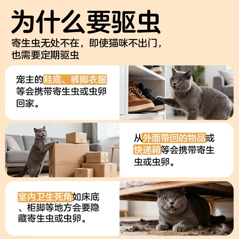 大宠爱 猫驱虫药 体内外同驱耳螨虱子跳蚤虫 2.6-7.5kg成猫 3支装 161.02元 - 86线报