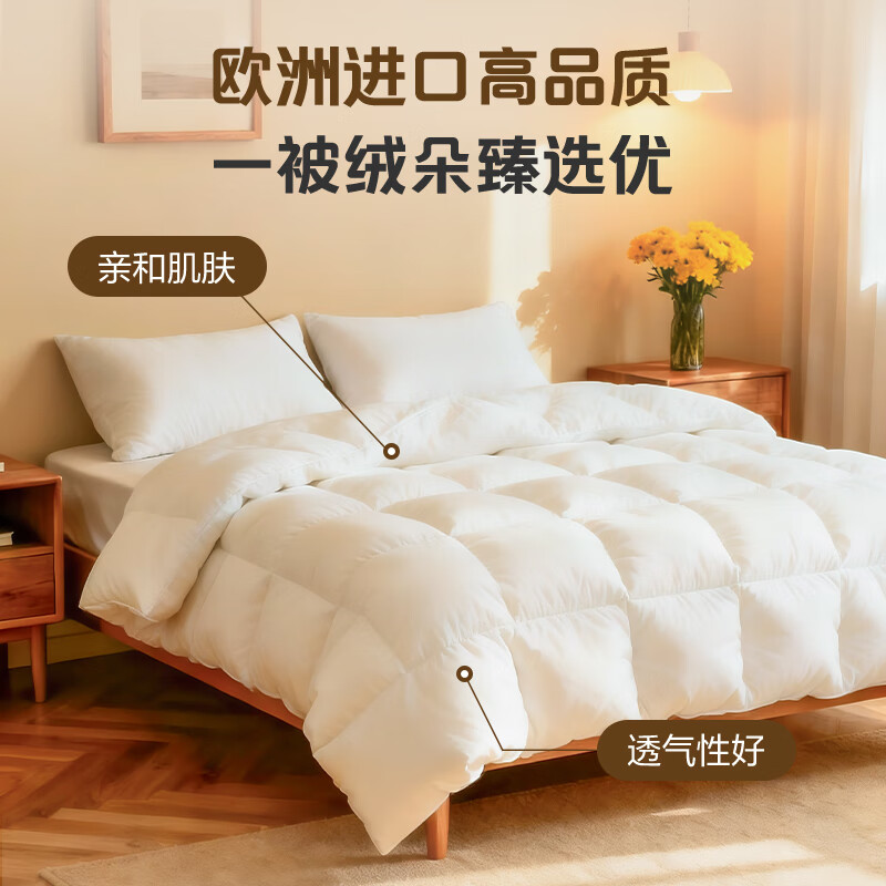 1号会员店 90%法国进口白鸭绒 羽绒被 200*230cm 1028元（需用券）