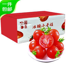 京百味 西红柿千禧小番茄3斤 约120颗中果 25.34元（需用券）
