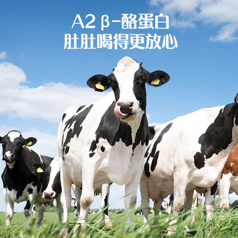 认养一头牛 A2β酪蛋白有机儿童纯牛奶200ml*10盒*1提宝宝学生牛奶 39元（需用