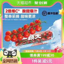 一颗大 串番茄樱桃小西红柿198g*4盒新鲜采摘酸甜 42.6元（需用券）
