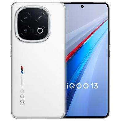 vivo iQOO13 传奇版 12GB+256GB 3329.01（需领券）