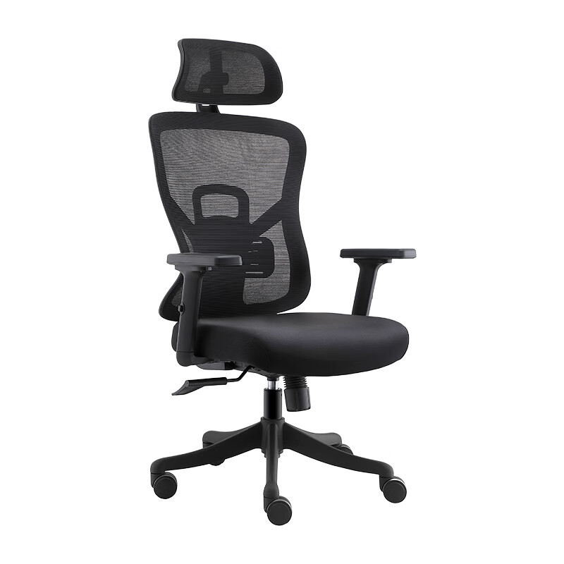 PLUS会员：菲迪-至成 F181 人体工学椅 海绵座垫+升降扶手+3D腰托+黑 239元（双