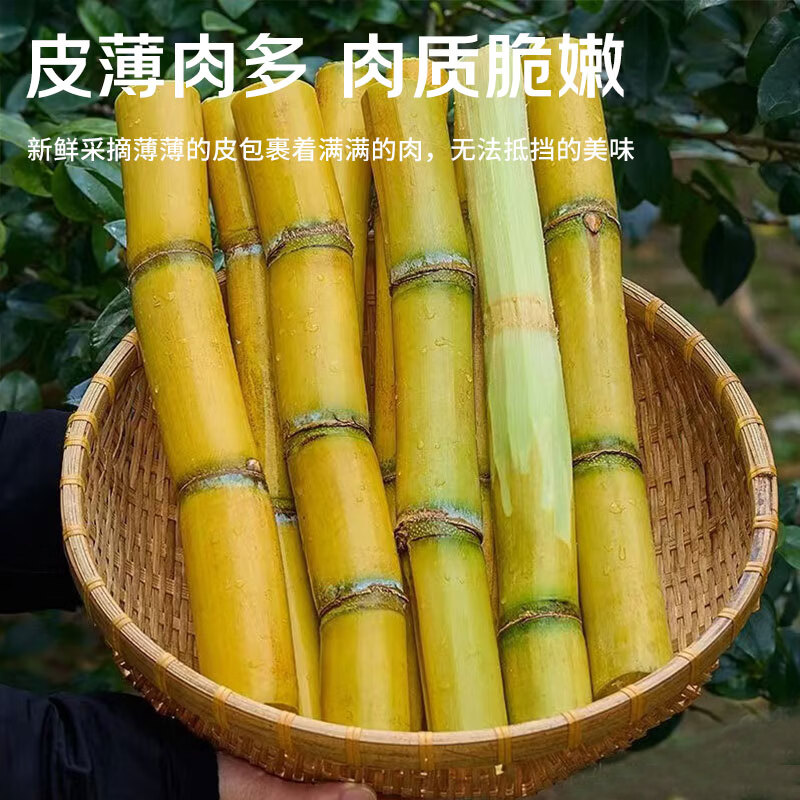 京鲜生 源头直发 黑皮甘蔗 5斤装 16.9元 - 线报酷