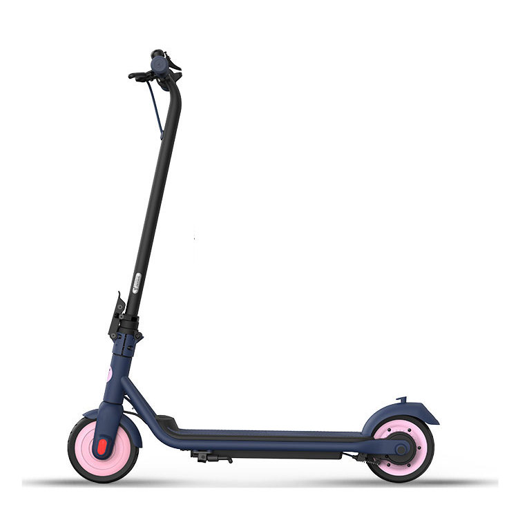 Ninebot 九号 C15 电动滑板车 蓝粉色 1099元（需用券）
