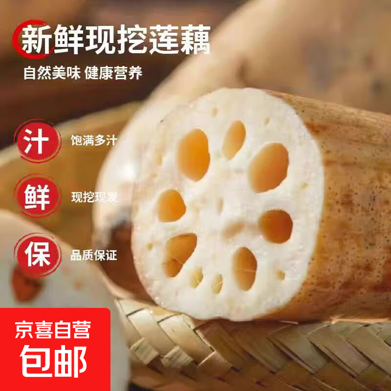京东包邮 新鲜莲藕 水果莲藕 早餐轻食 1斤含箱 2.8元