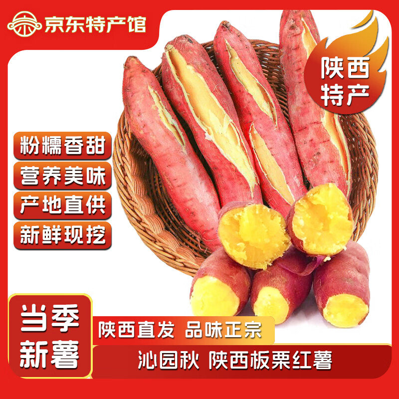 今日必买：沁园秋 板栗红薯 4.5-5斤 中果 11.9元