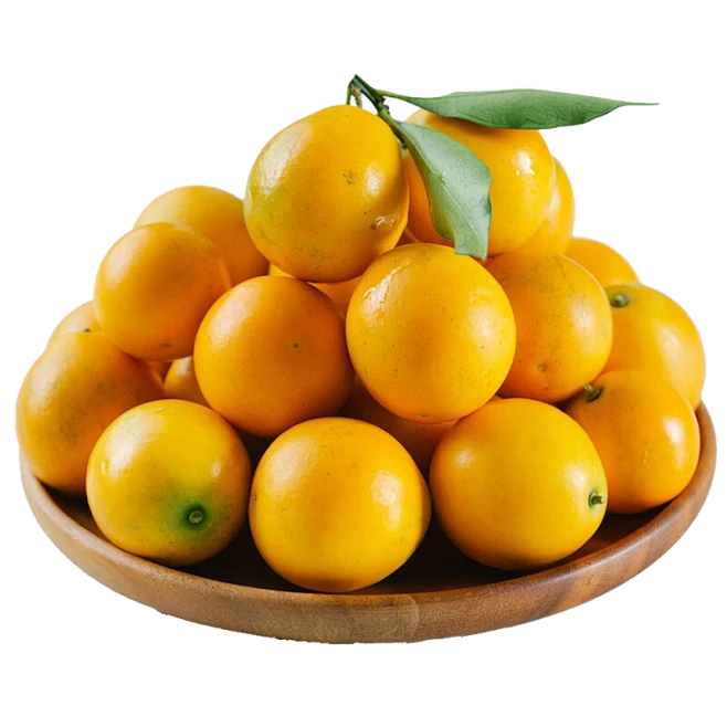 京觅 融安金桔 第三代脆蜜金柑 净重1斤礼盒 单果16g+ 源头直发包邮 19.8元