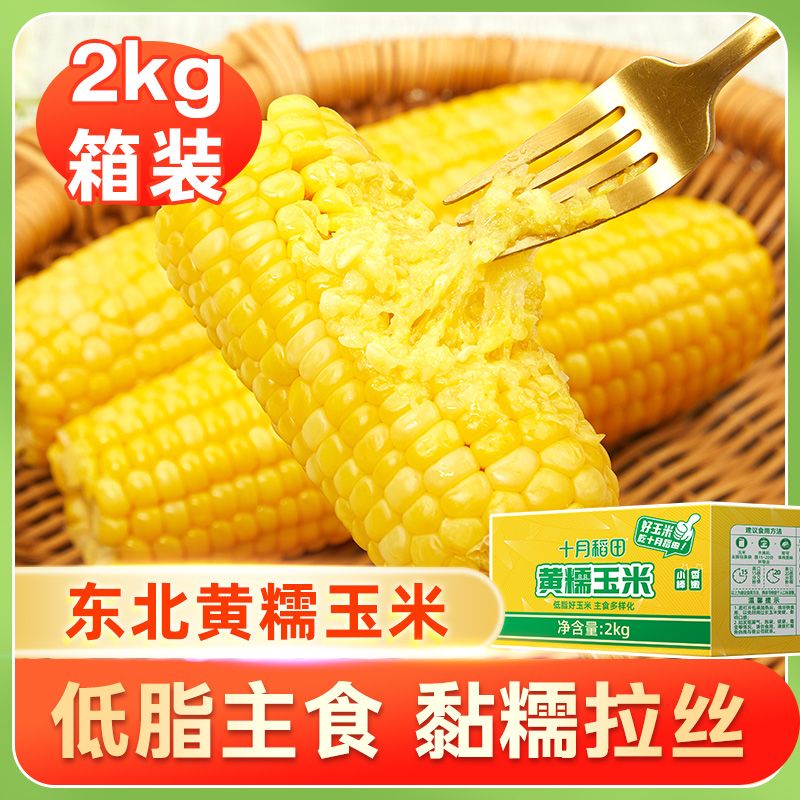 百亿补贴：SHI YUE DAO TIAN 十月稻田 黄糯玉米小棒 2kg箱装10-11根 13.52元（需用