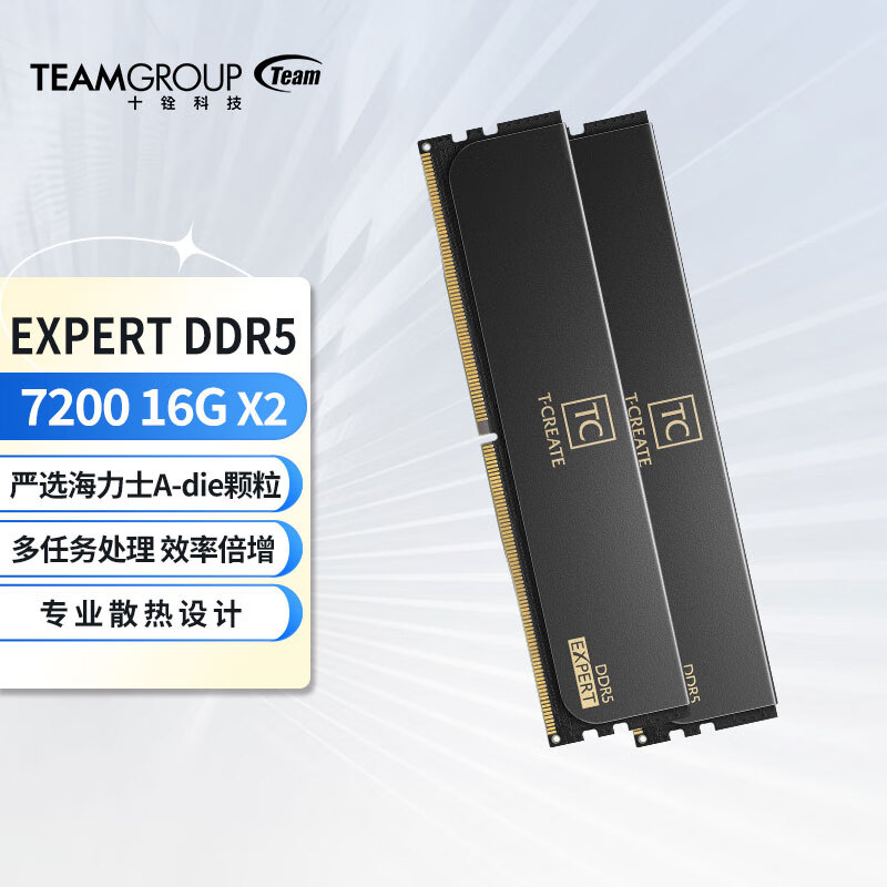 Team 十铨 EXPERT DDR5 7200MHz 台式机内存 马甲条 灯条 黑色 32GB 16GBx2 1109元