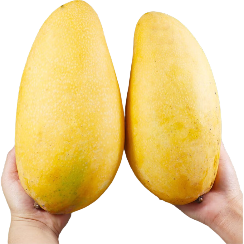 京鲜生 海南金煌芒 中果净重4.5斤装 单果300g 34.8元