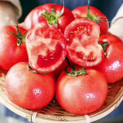 甜盟 普罗旺斯西红柿 中果 4.5斤装（13-16个） 34.8元 （需用券）