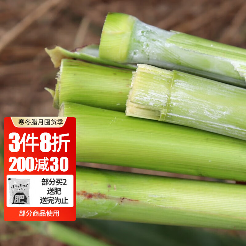 大禹 甘蔗种子甜高粱籽南方甜甜杆秋季蔬菜 杂交甜杆种子25g 甘甜 10.4元（