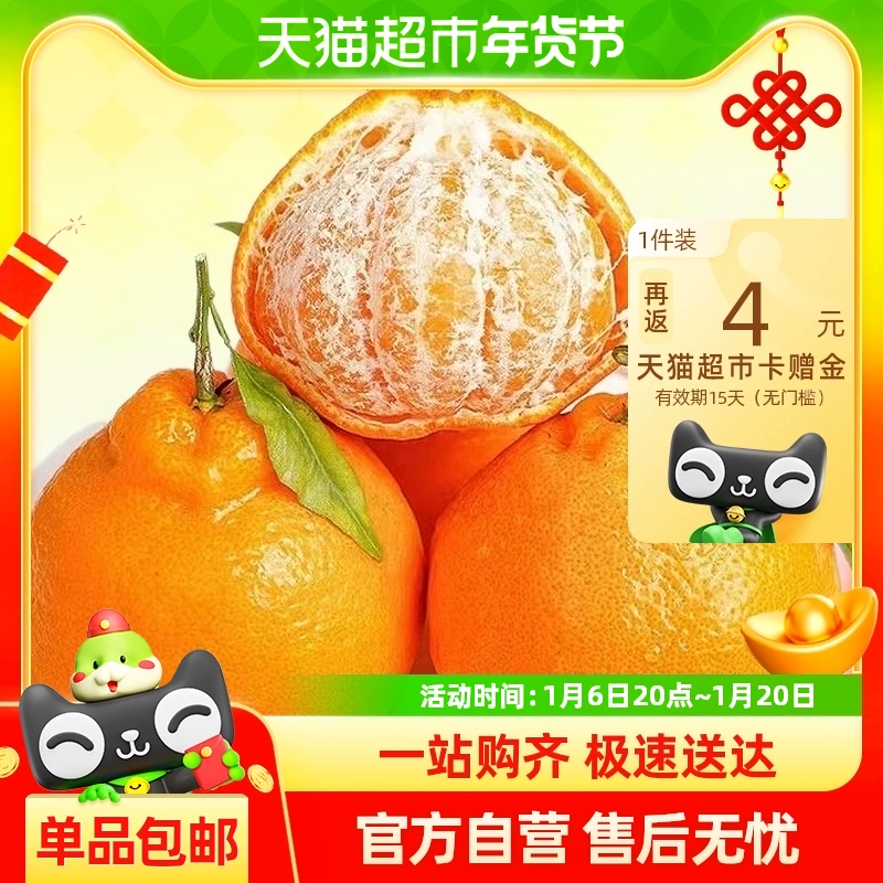 PANZHIHUA FRUIT 四川春见耙耙柑应季桔子橘子 中果 65mm-75mm 4.5斤 ￥16.8