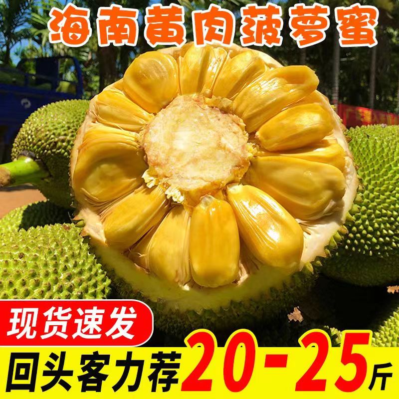 保蓉 菠萝蜜 20-25斤 49元（需用券）