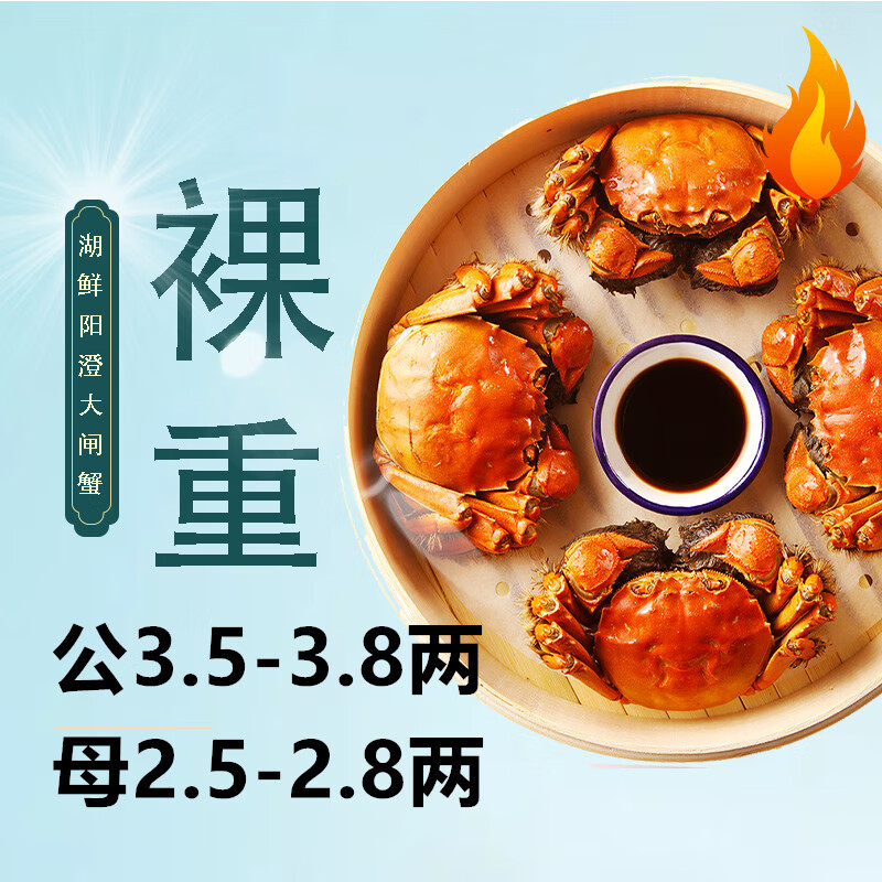 HUXIANYANGCHENG 湖鲜阳澄 大闸蟹 去绳足重 公3.5-3.8两母2.5-2.8两5对10只 156.22元（