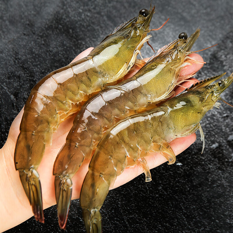 PLus会员:仁豪水产 厄瓜多尔白虾1.5kg净重 加大号 规格30/40 烧烤冻虾 只只分