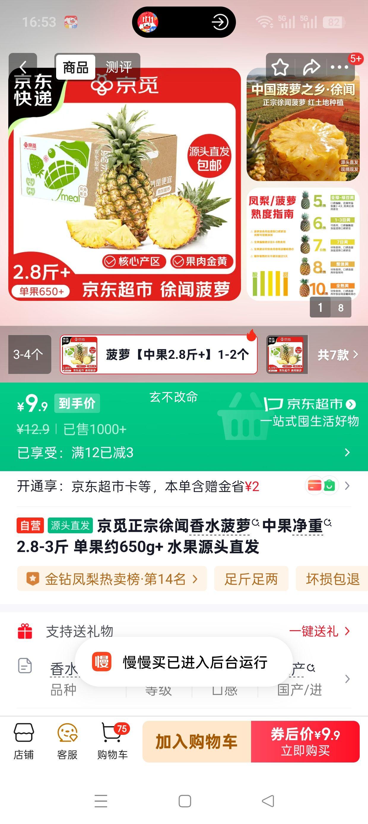 京觅 徐闻香水菠萝 中果 净重2.8-3斤 单果约650g+ 水果源头直发优惠证明