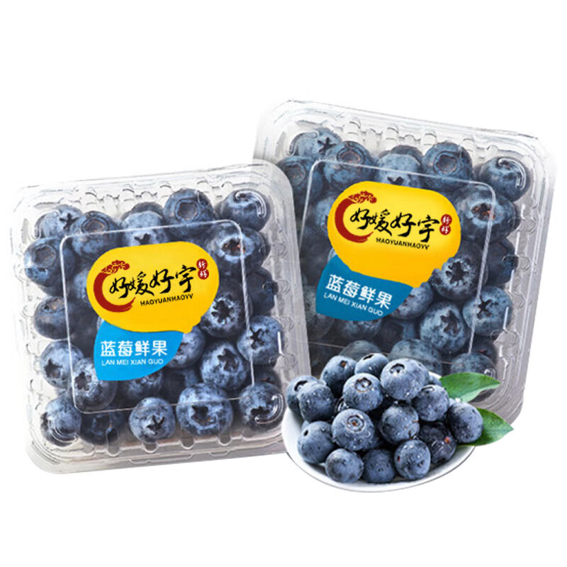 PLus会员，好媛好宇国产蓝莓 生鲜新鲜水果礼盒 125g*4盒优选单果12-15mm 19.63元