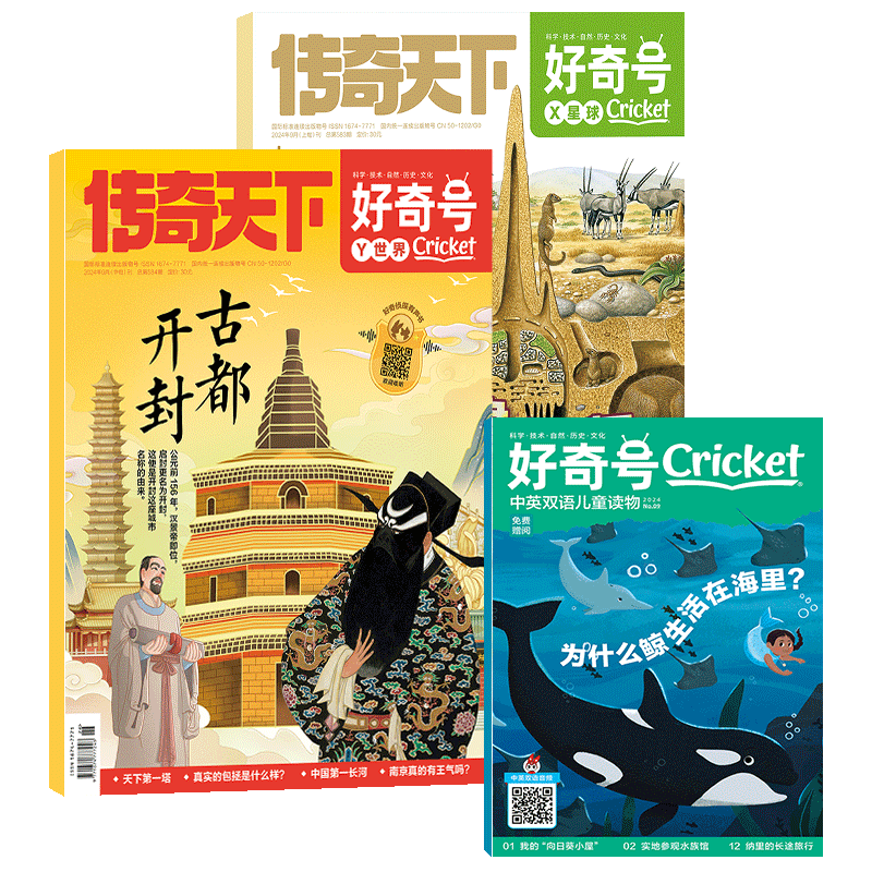 再降价、双11巅峰、需凑单：《好奇号》（2025全年12期） 141.12元（实付147元