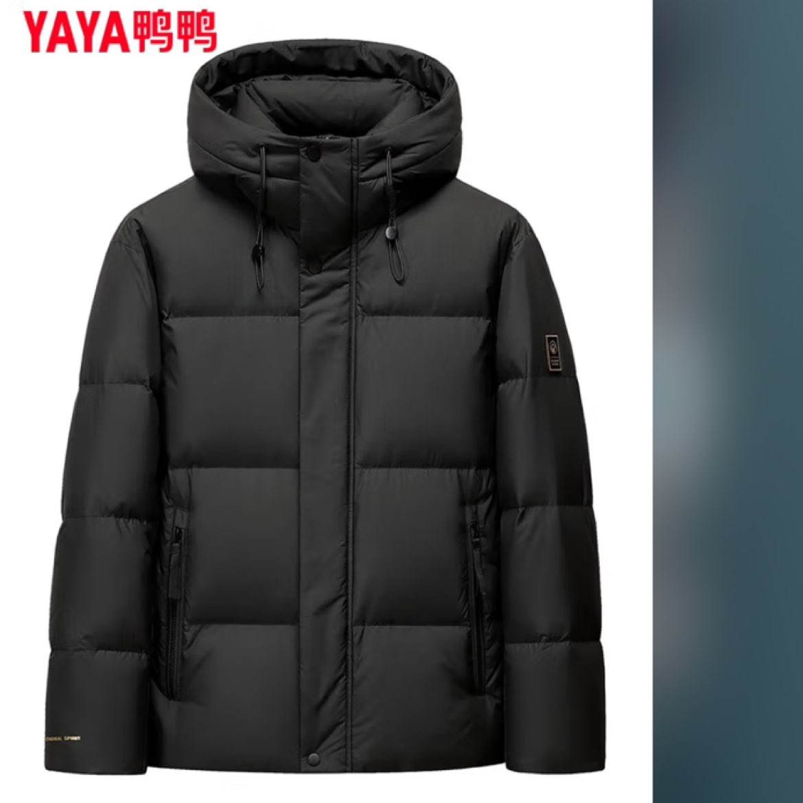 鸭鸭（YAYA）羽绒服男短款2024年冬季新款 多色多码 255.96元（需领券）