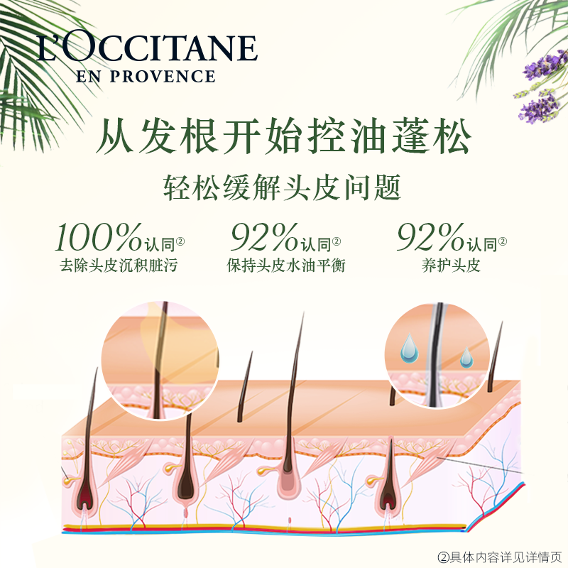 L'OCCITANE 欧舒丹 头皮平衡洗发6ml*3 护发6ml*3 防脱精华4ml 20回购券 9.9元