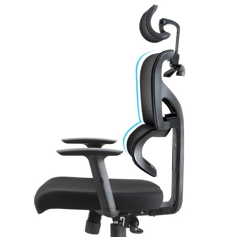 QUAN FENG 泉枫 人体工学电脑椅 升降扶手+S型椅背+黑色 259元（双重优惠）