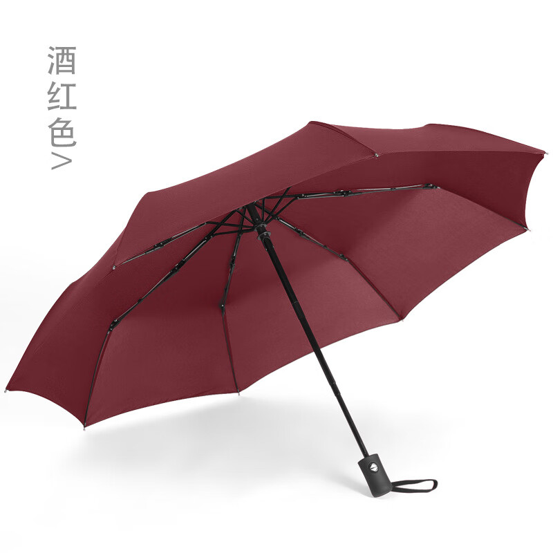 LISM大号十骨雨伞双人全自动伞晴雨遮阳伞折叠自动商务礼品广告伞 8骨碰击