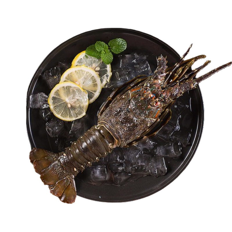 京东超市 冷冻青龙虾/小青龙 200-300g/只 盒装 高端海鲜食材 71.92元