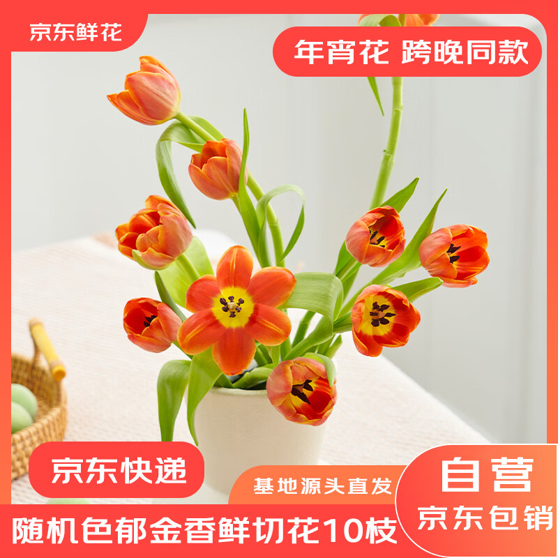 PLUS会员、移动端、京东百亿补贴：京东鲜花 郁金香10枝家庭生活鲜花花束玫