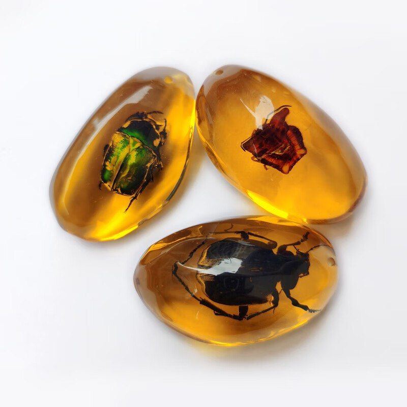 天然昆虫琥珀标本 混色随机 4.15元