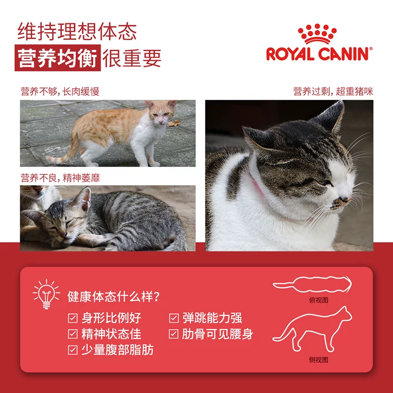 皇家 猫粮F32营养成猫专用 全价猫粮英短布偶 理想体态成猫粮 2kg 111.5元 - 线报酷