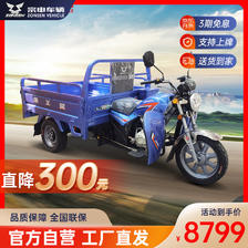 宗申 三轮摩托车1.6米燃油货运农用家用三轮车跨骑燃油摩托车 Q11荣威 8799元
