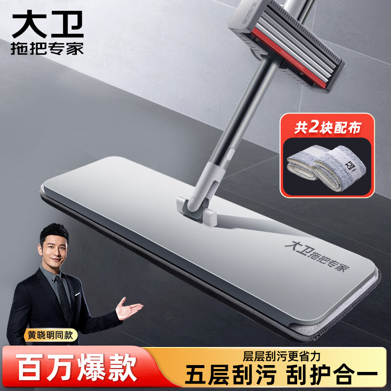 移动端、京东百亿补贴：大卫 P12 平板拖 冰峰白 1杆 69.6元