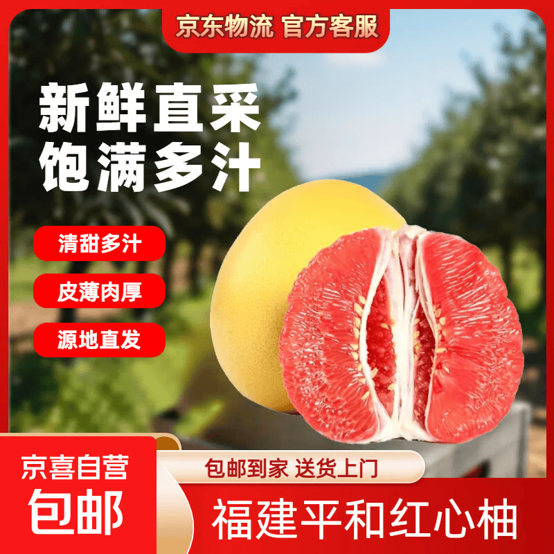 其他家 福建琯溪蜜柚红心柚子皮薄爆汁甜柚新鲜时令水果节日整箱 2-3斤 0.9