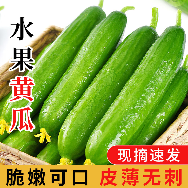 福旺熊 山东新鲜水果小黄瓜 净重4.5斤 ￥15.8