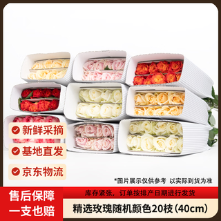 京东鲜花 玫瑰花颜色20枝山东基地新鲜采摘家40cm长源头直发 16.59元 - 86线报 京东鲜花 玫瑰花颜色20枝山东基地新鲜采摘家40cm长源头直发 16.59元 - 86线报
