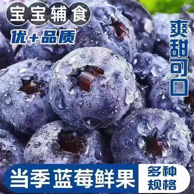 再降价：春福乐 云南高山花香蓝莓 头茬鲜果 特大果 单果20mm+ 2盒净重200g 果